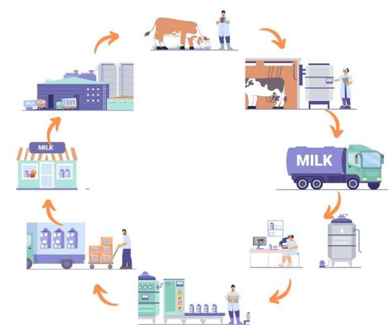 Milk Run Corrida do Leite