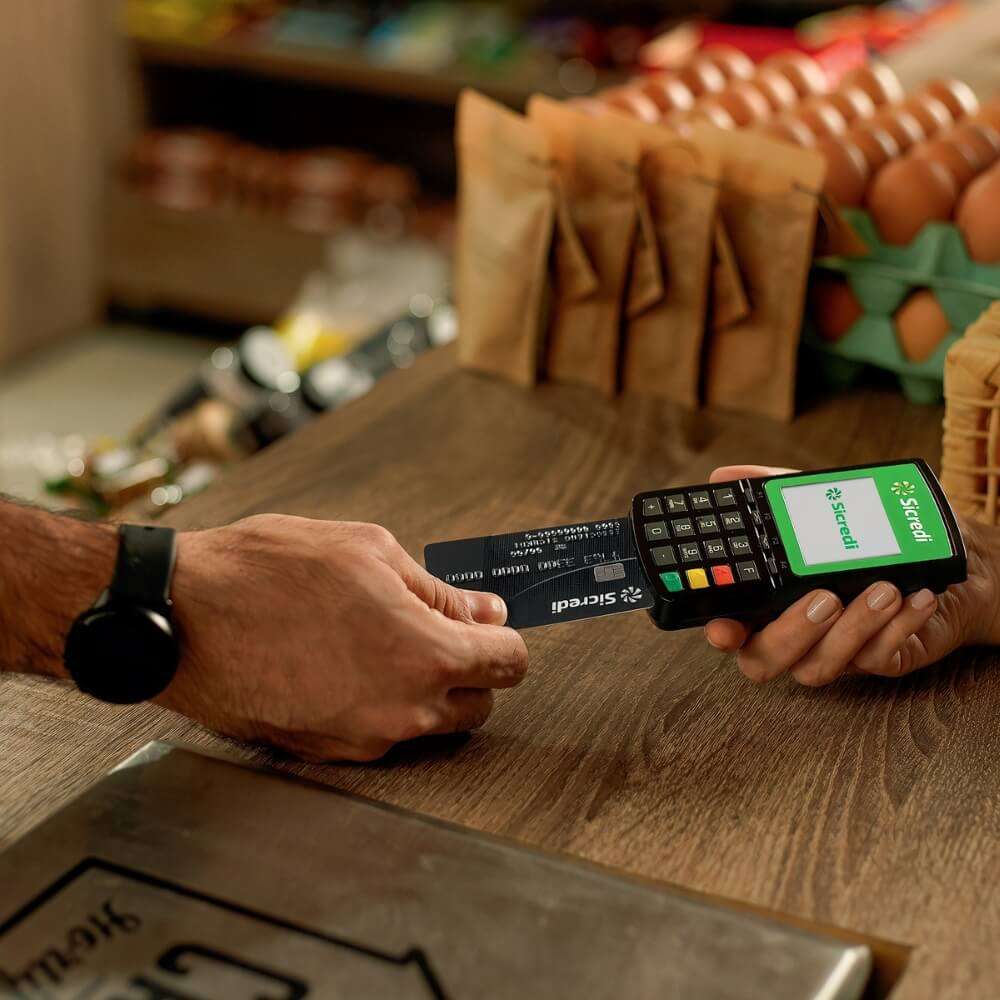 Os principais Meios de Pagamento para E-commerce pagando no cartao de credito - Os principais Meios de Pagamento para E-commerce