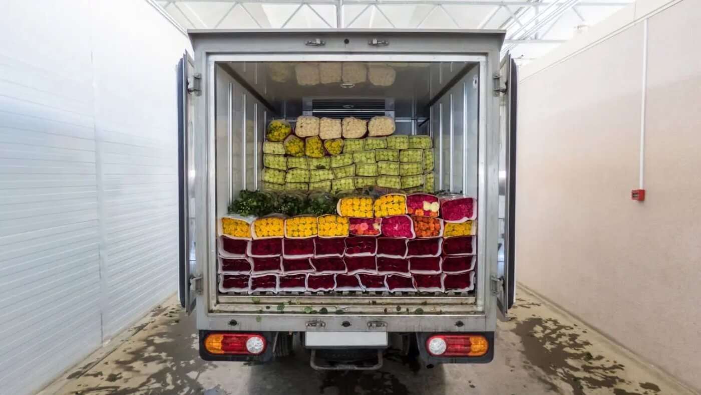 caminha com comida fresca - Como transportar alimentos perecíveis e não perecíveis?