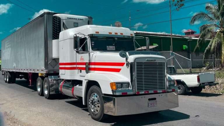 Caminhão Refrigerado