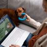 Frete para pet shop online como embalar, transportar e encantar o dono do animal