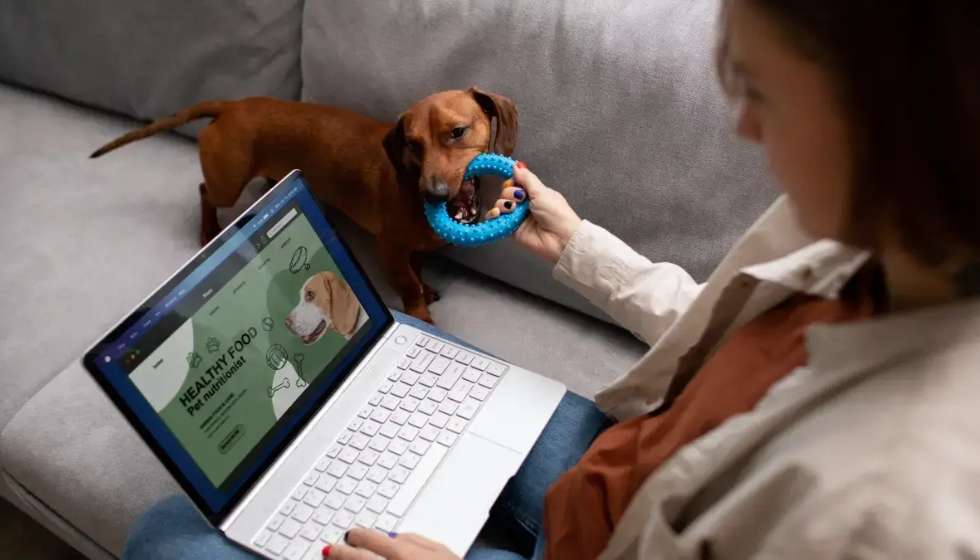 Frete para pet shop online: como embalar, transportar e encantar o dono do animal